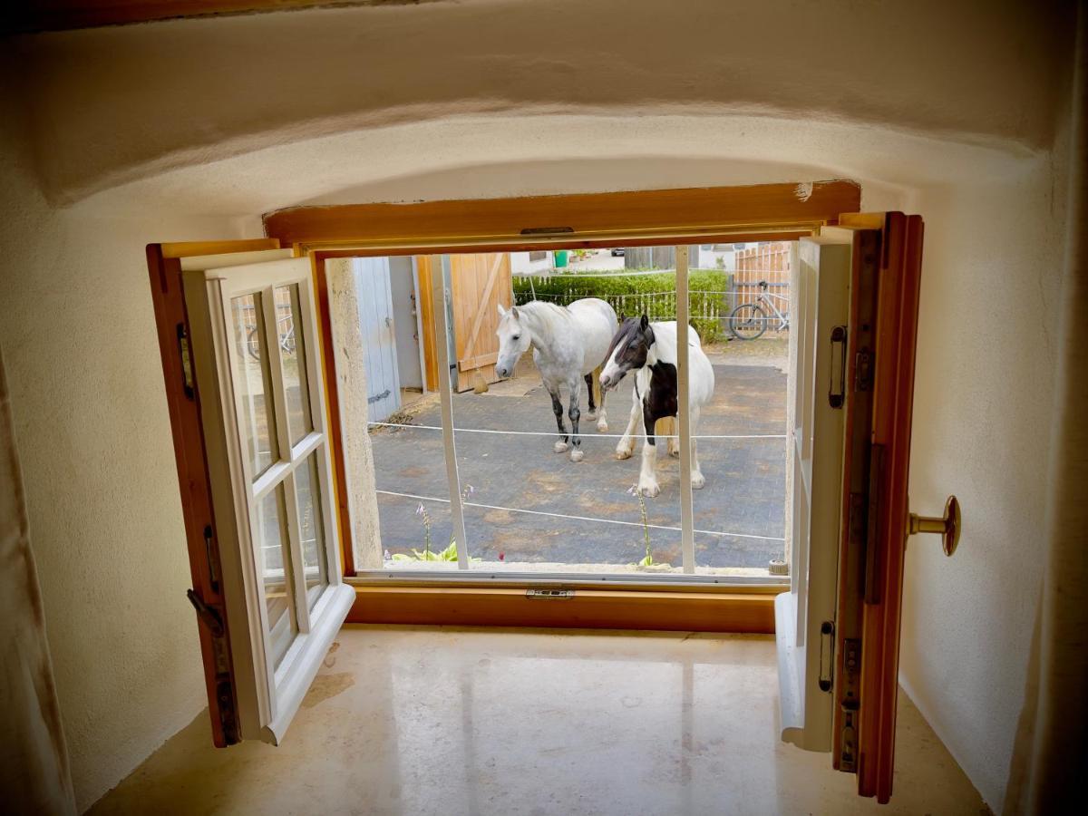 Ferienwohnung Rohrachhof Treuchtlingen Exterior foto